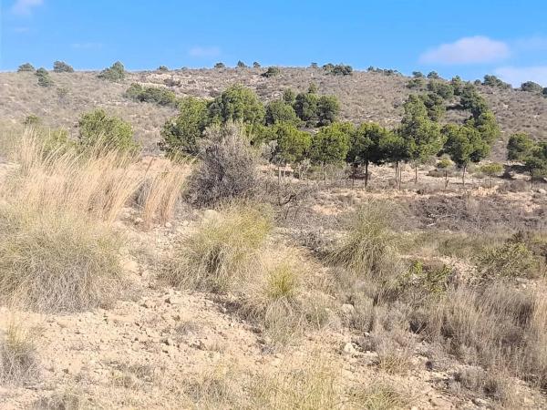 Terreno en La Galia-Bonavista