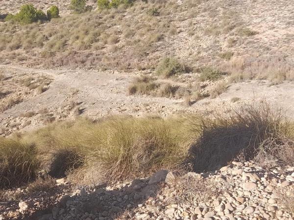 Terreno en La Galia-Bonavista