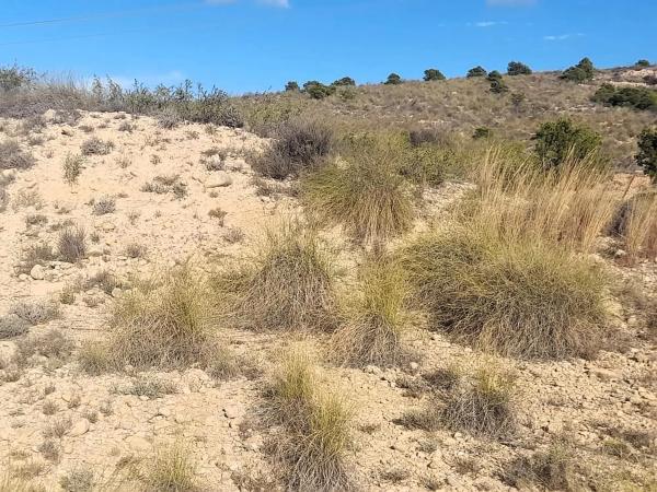 Terreno en La Galia-Bonavista