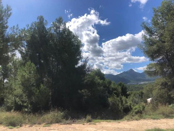 Terreno en Urbanització Terol f