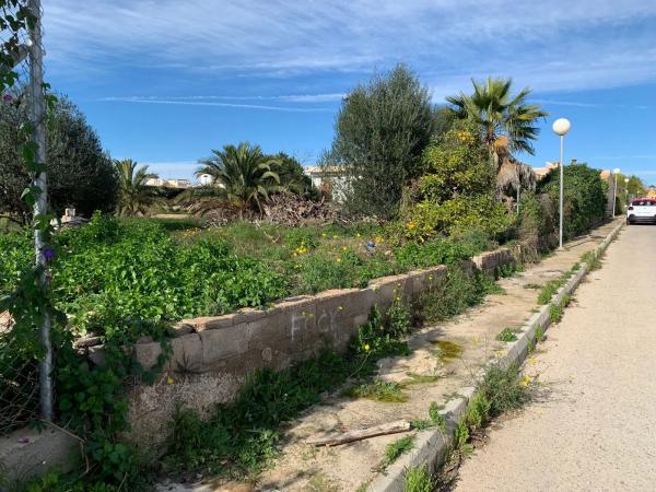 Terreno en calle Carlos Torres, 24