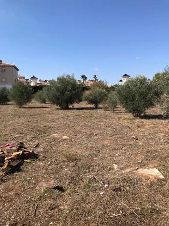 Terreno en calle Carlos Torres, 24