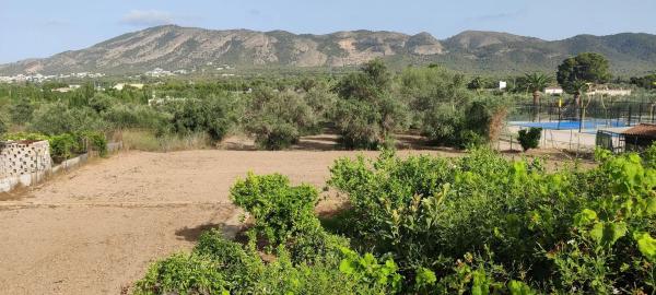 Terreno en Partida Cabut, 8