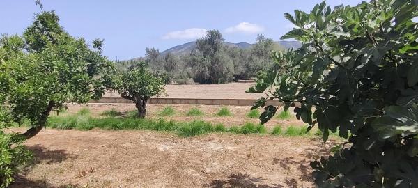 Terreno en Partida Cabut, 8