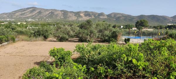 Terreno en Partida Cabut, 8