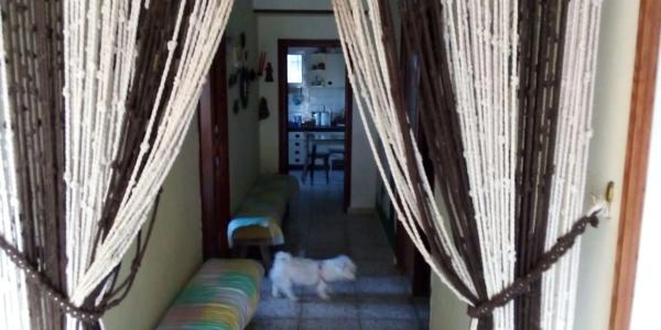 Terreno en calle Planes s/n