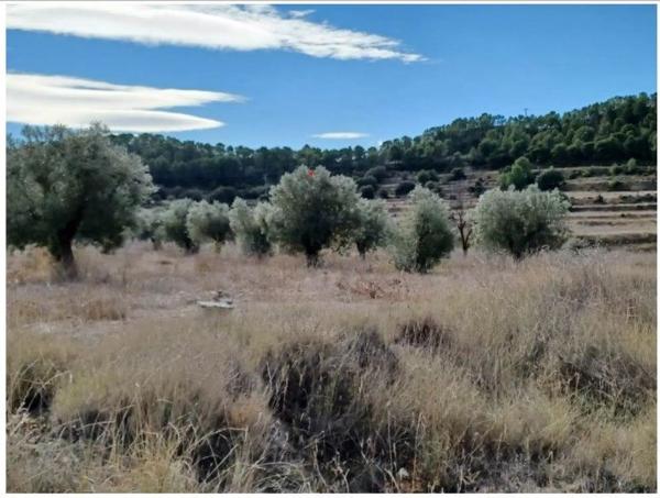 Terreno en via sense nom, km 8