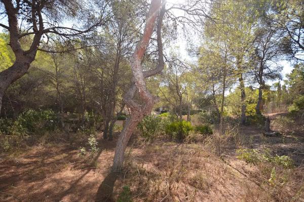 Terreno en Barrio Campoamor