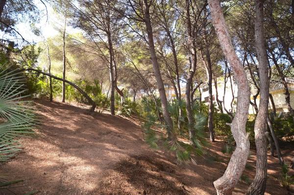 Terreno en Barrio Campoamor