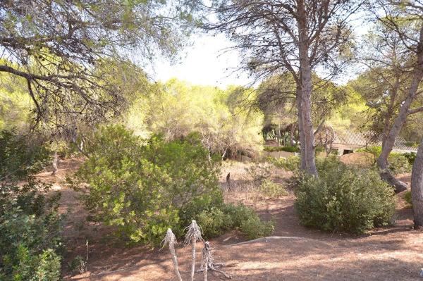 Terreno en Barrio Campoamor