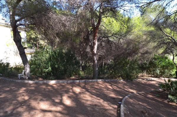 Terreno en Barrio Campoamor