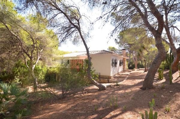 Terreno en Barrio Campoamor
