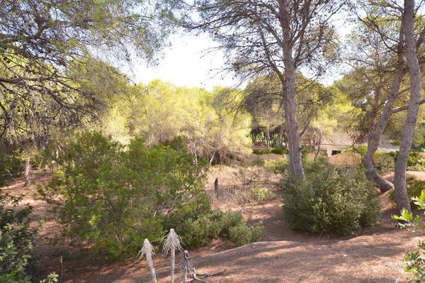 Terreno en Barrio Campoamor