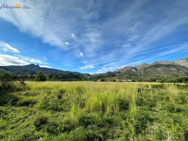 Terreno en Orba