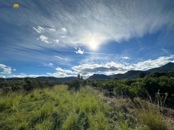 Terreno en Orba