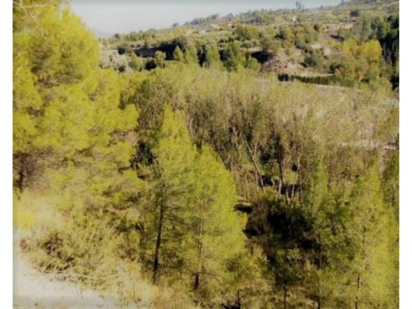 Terreno en plaza de l'Església, 4