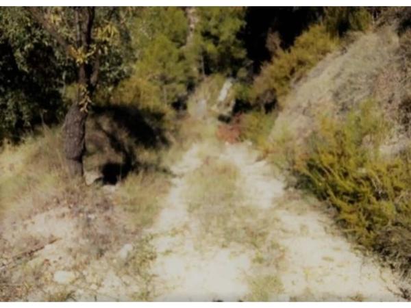 Terreno en plaza de l'Església, 4