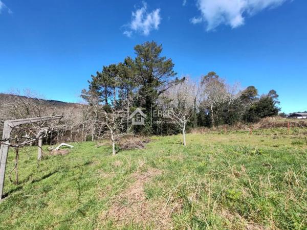 Terreno en camino Pallarés