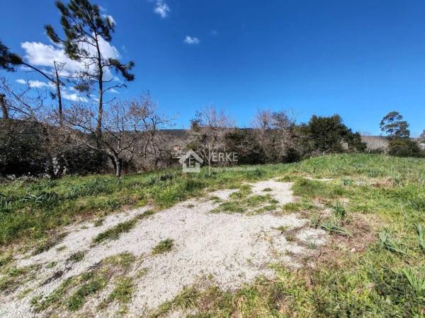 Terreno en camino Pallarés
