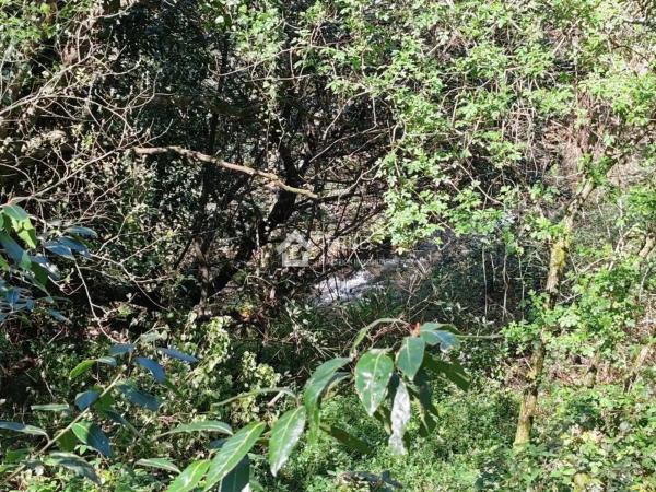 Terreno en camino Pallarés