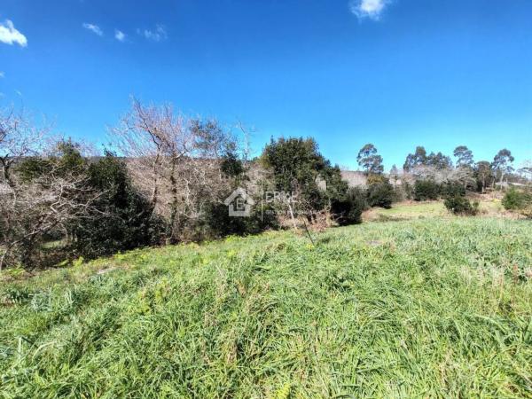 Terreno en camino Pallarés