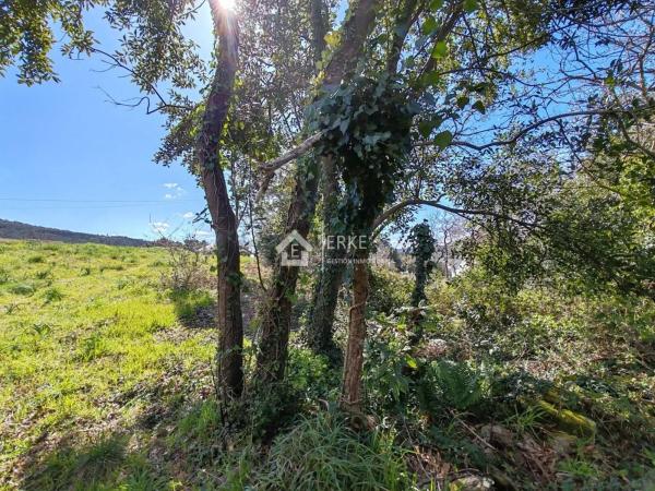 Terreno en camino Pallarés