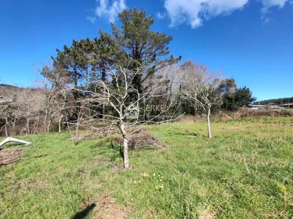 Terreno en camino Pallarés