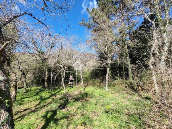 Terreno en camino Pallarés