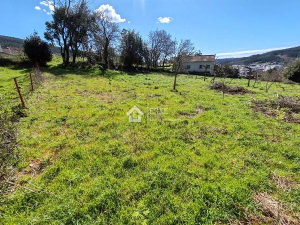 Terreno en camino Pallarés