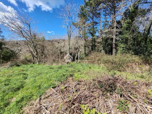 Terreno en camino Pallarés