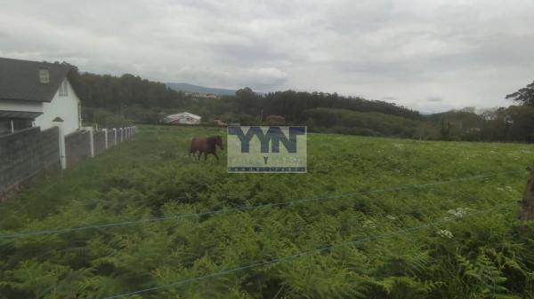 Terreno en Valdoviño