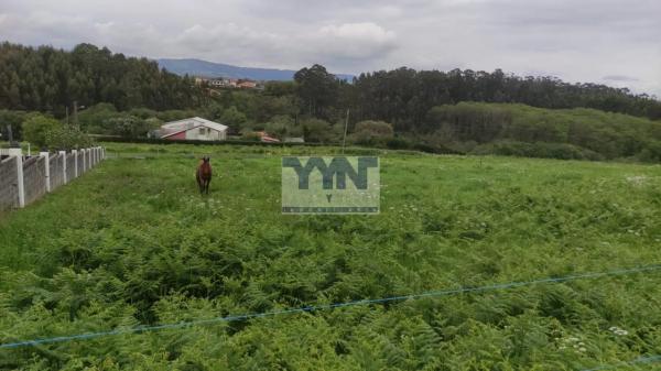 Terreno en Valdoviño