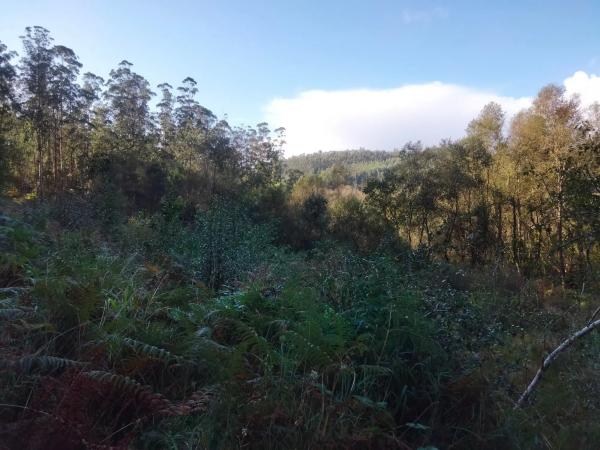 Terreno en Concello de San sadurnińo s/n