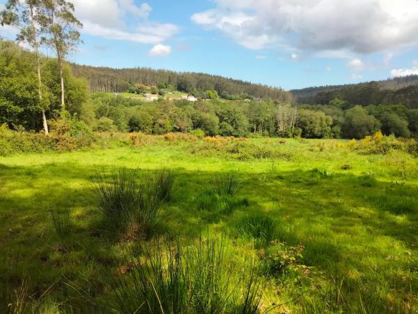 Terreno en Concello de San sadurnińo s/n