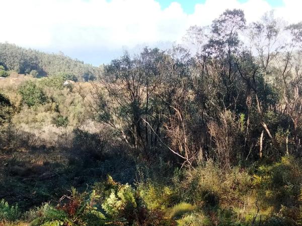 Terreno en Concello de San sadurnińo s/n