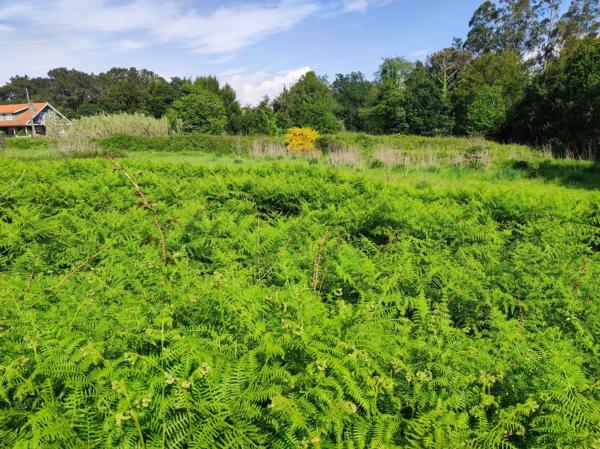 Terreno en 15940 Cabio s/n