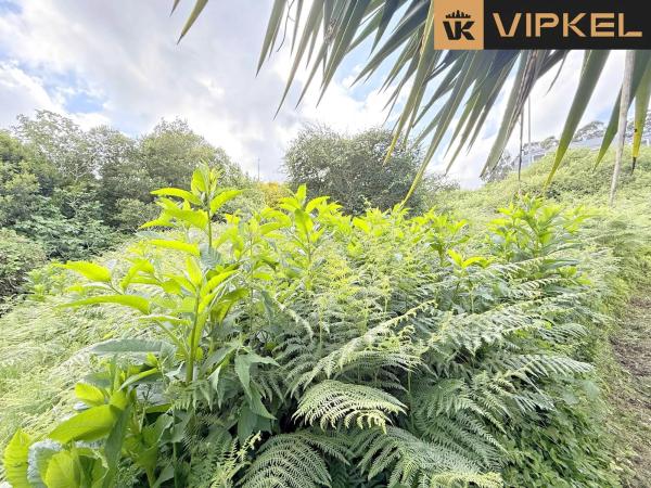 Terreno en avenida Rosalía de Castro