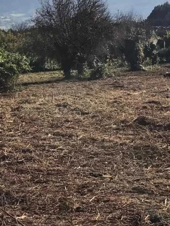 Terreno en camino de Castela