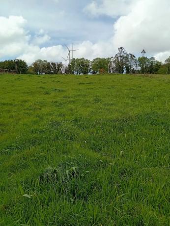 Terreno en Lugar de Seixas s/n
