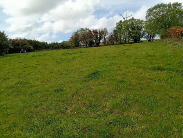 Terreno en Lugar de Seixas s/n