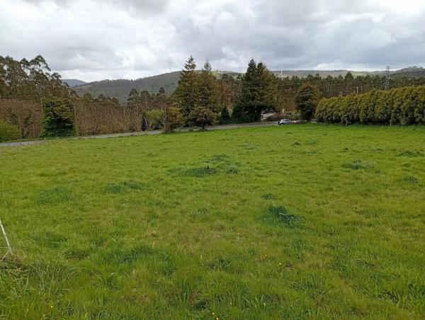 Terreno en Lugar de Seixas s/n