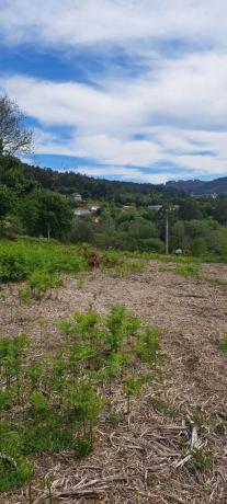 Terreno en Fene
