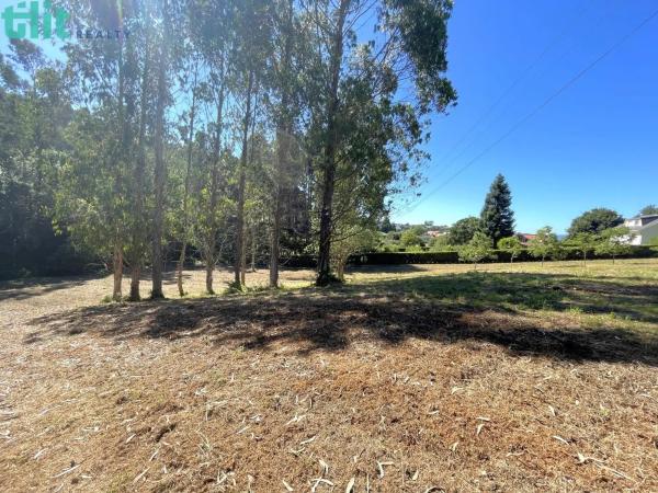 Terreno en Lugar Gandarío, 6