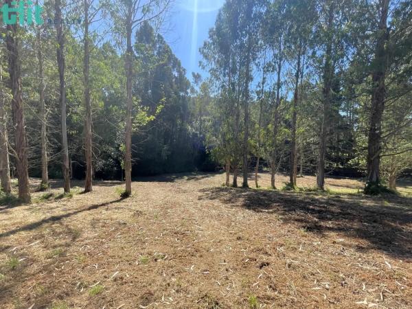 Terreno en Lugar Gandarío, 6