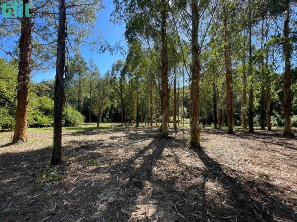 Terreno en Lugar Gandarío, 6