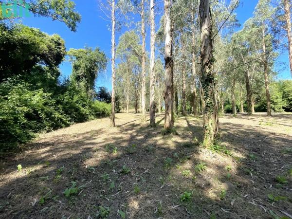 Terreno en Lugar Gandarío, 6