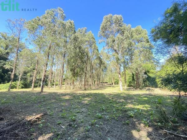 Terreno en Lugar Gandarío, 6