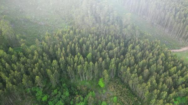 Terreno en Lugar Lamelas, 6