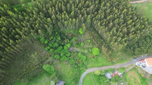 Terreno en Lugar Lamelas, 6