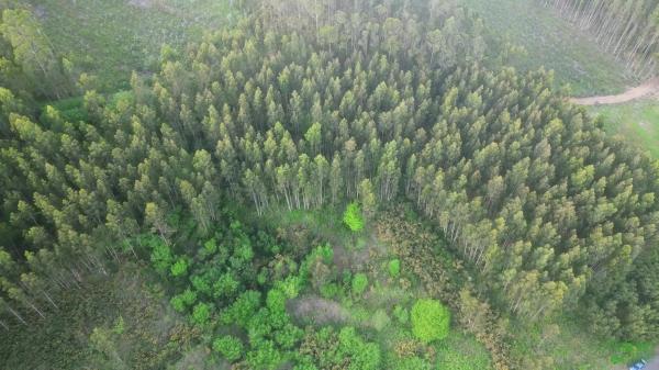 Terreno en Lugar Lamelas, 6
